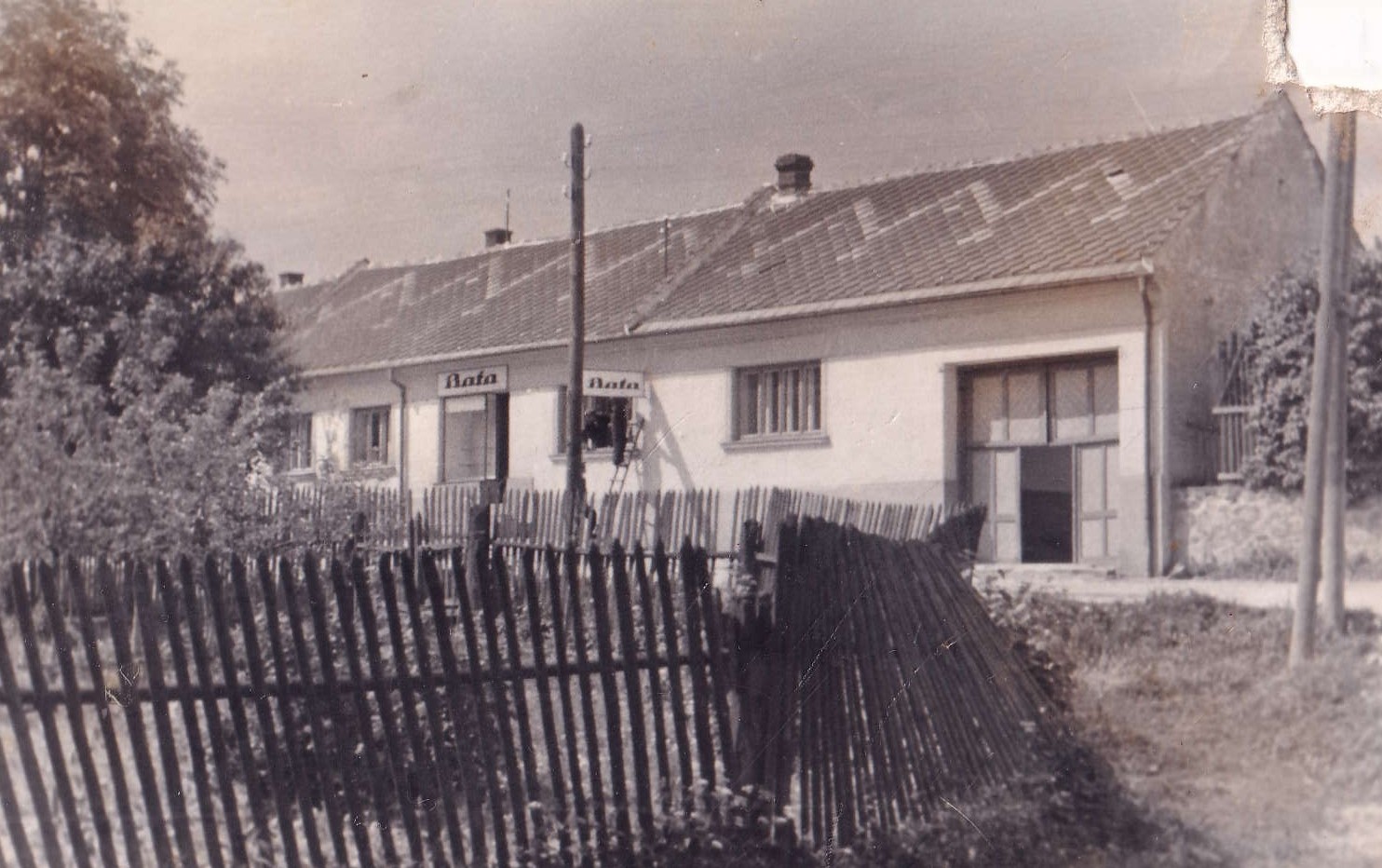 Anna Mazalová (1931)